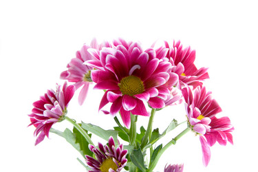 Similar image 880509