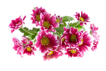 Similar image 880512