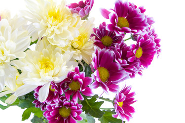 Similar image 880513