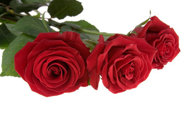 Similar image 880516