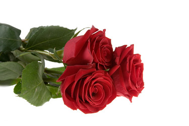 Similar image 880517