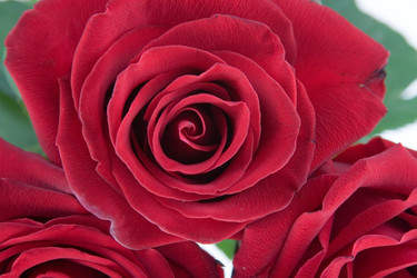 Similar image 880519