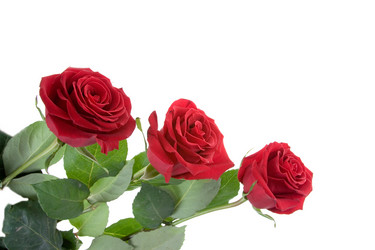 Similar image 880521