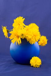 Similar image 880527