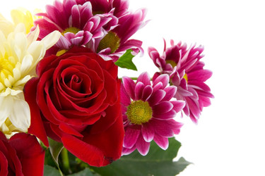 Similar image 880529