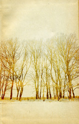 Similar image 880553