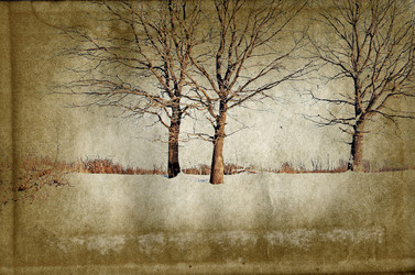 Similar image 880554