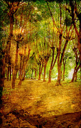 Similar image 880557