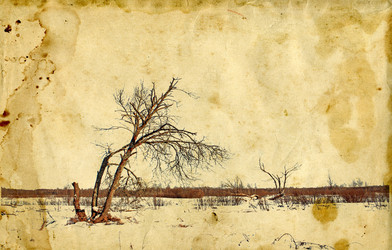 Similar image 880562