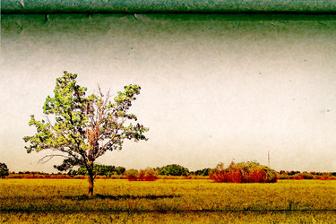 Similar image 880563