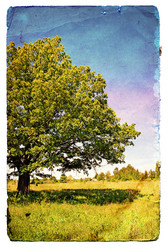 Similar image 880609