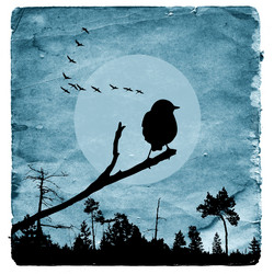 Similar image 880615