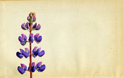 Similar image 880616