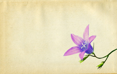 Similar image 880617