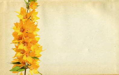 Similar image 880618