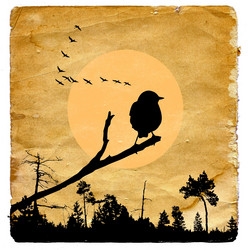 Similar image 880619