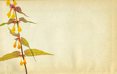 Similar image 880620