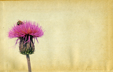 Similar image 880621