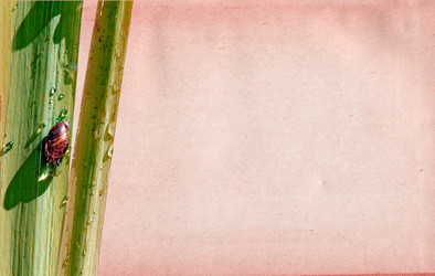 Similar image 880625