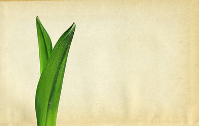 Similar image 880627