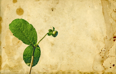 Similar image 880628