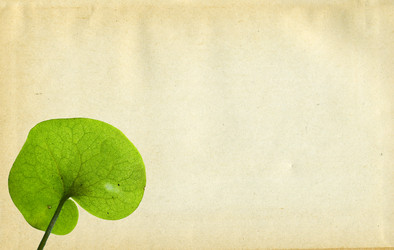 Similar image 880634