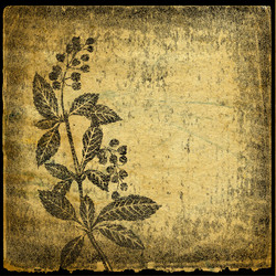 Similar image 880643