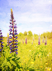 Similar image 880655