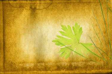 Similar image 880659