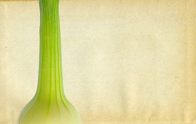 Similar image 880667