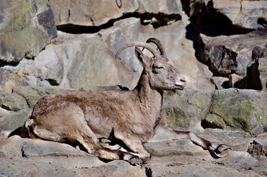 Similar image 880731