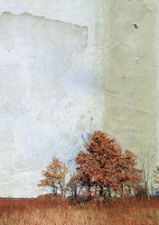 Similar image 880782