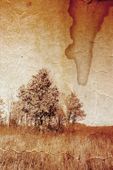 Similar image 880784