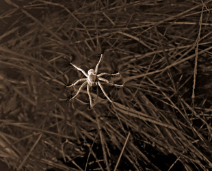 Similar image 880786