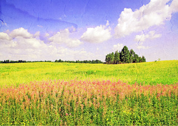 Similar image 880788