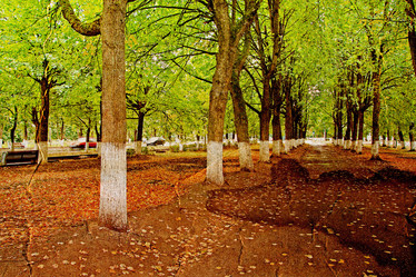 Similar image 880789