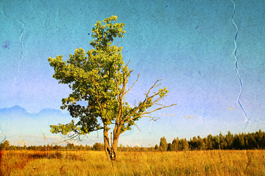 Similar image 880790