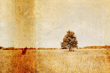 Similar image 880791