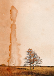 Similar image 880792