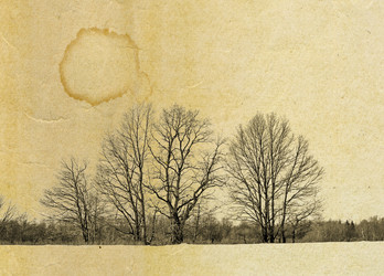 Similar image 880794