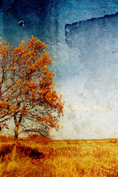 Similar image 880797