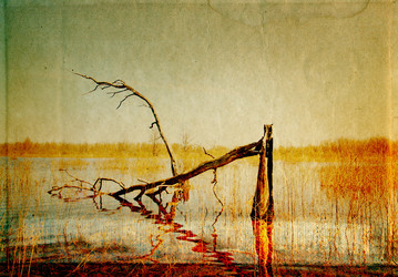 Similar image 880800