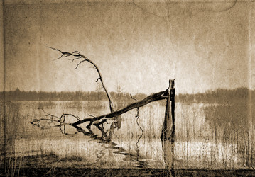 Similar image 880803