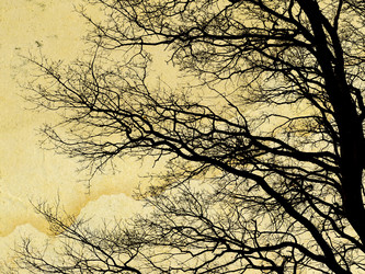 Similar image 880805