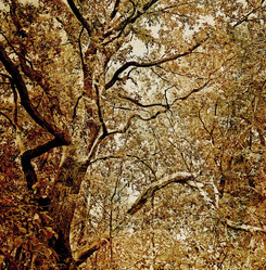 Similar image 880807