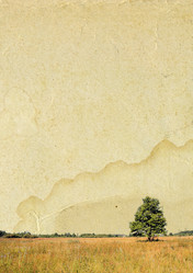 Similar image 880808