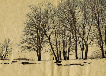 Similar image 880812