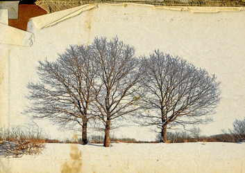 Similar image 880813