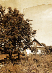 Similar image 880816