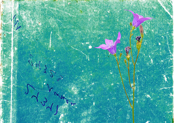 Similar image 880819